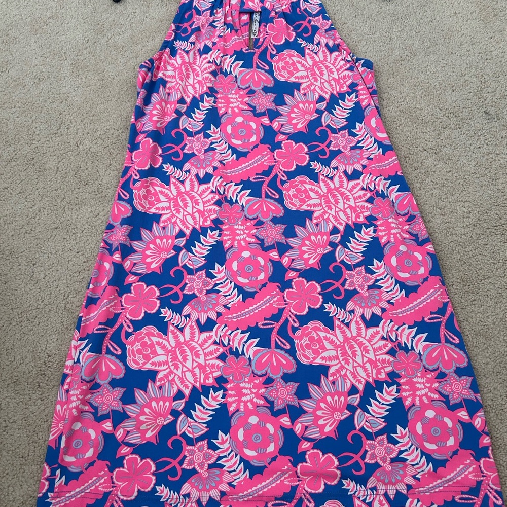 Lulu-B Pink and Blue Floral dress
